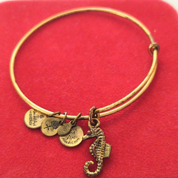 Alex & Ani Bracelet - Picture 1 of 1